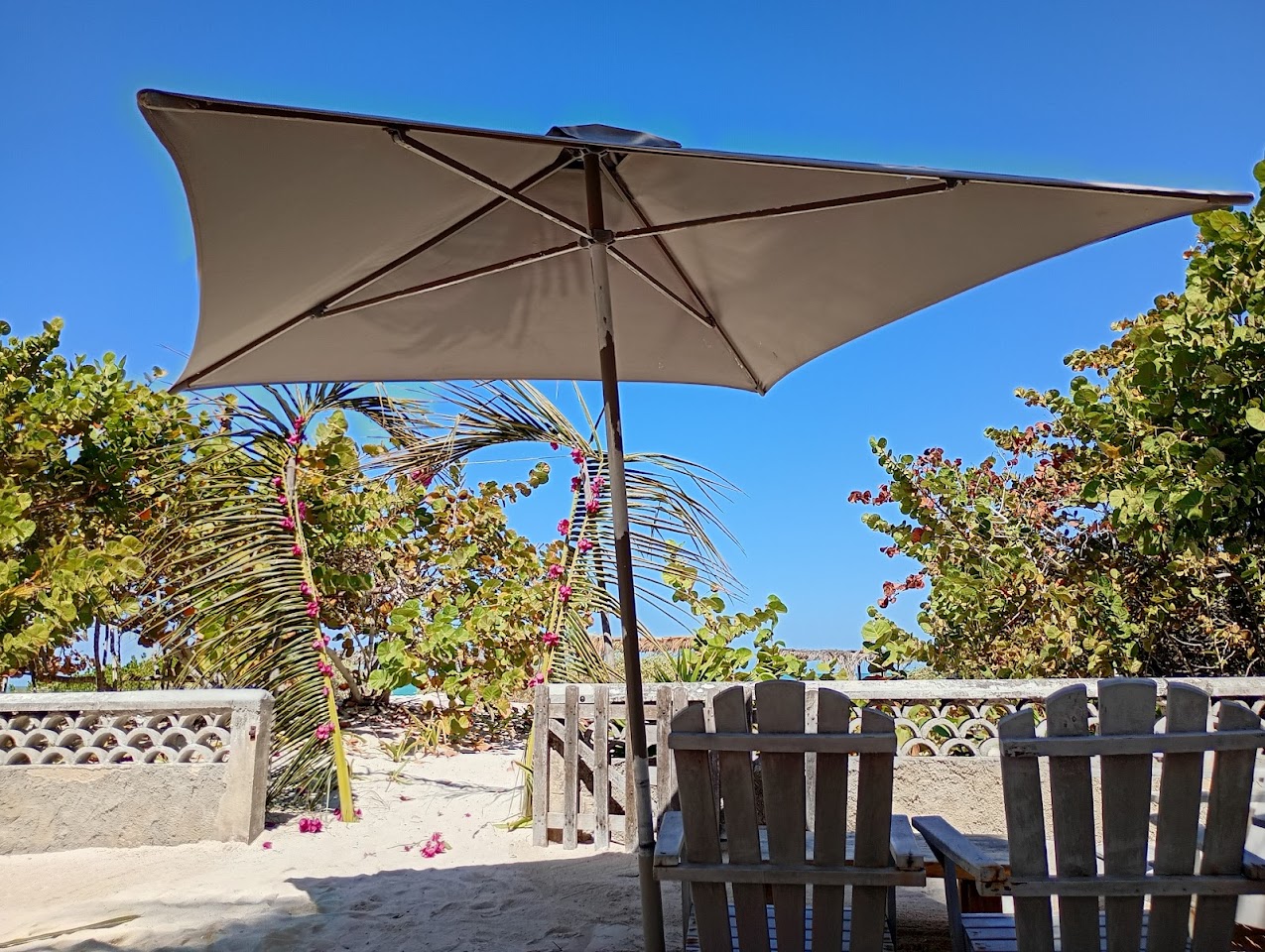 BEACH CLUBS en Sisal