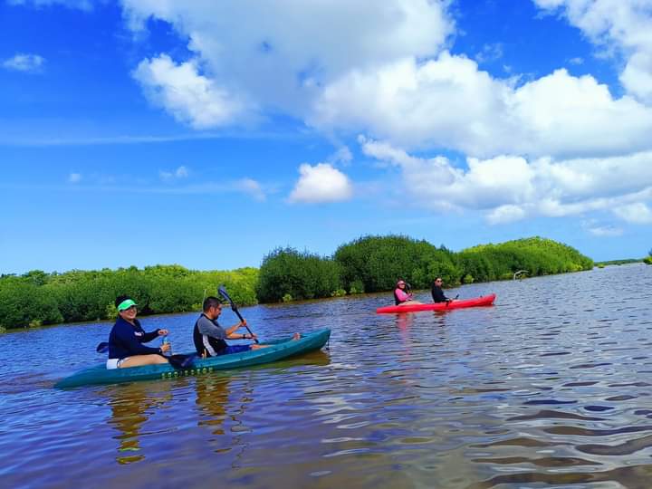 Kayak en los manglares de Sisal