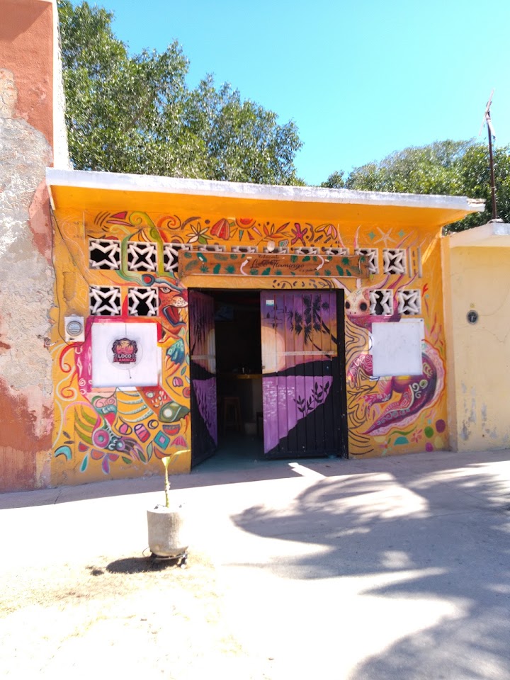 Flamingos rosados en Sisal