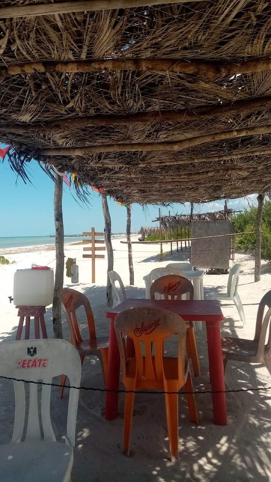 PALAPAS en Sisal