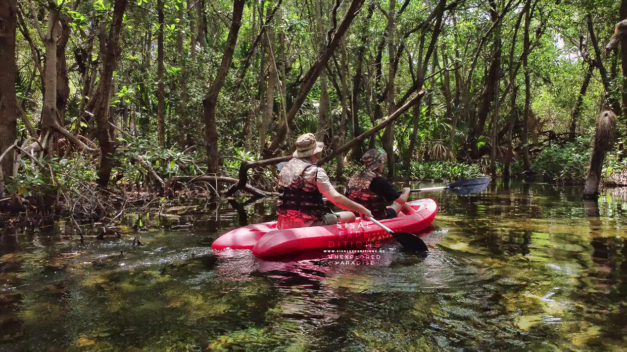 BUCEO en Sisal